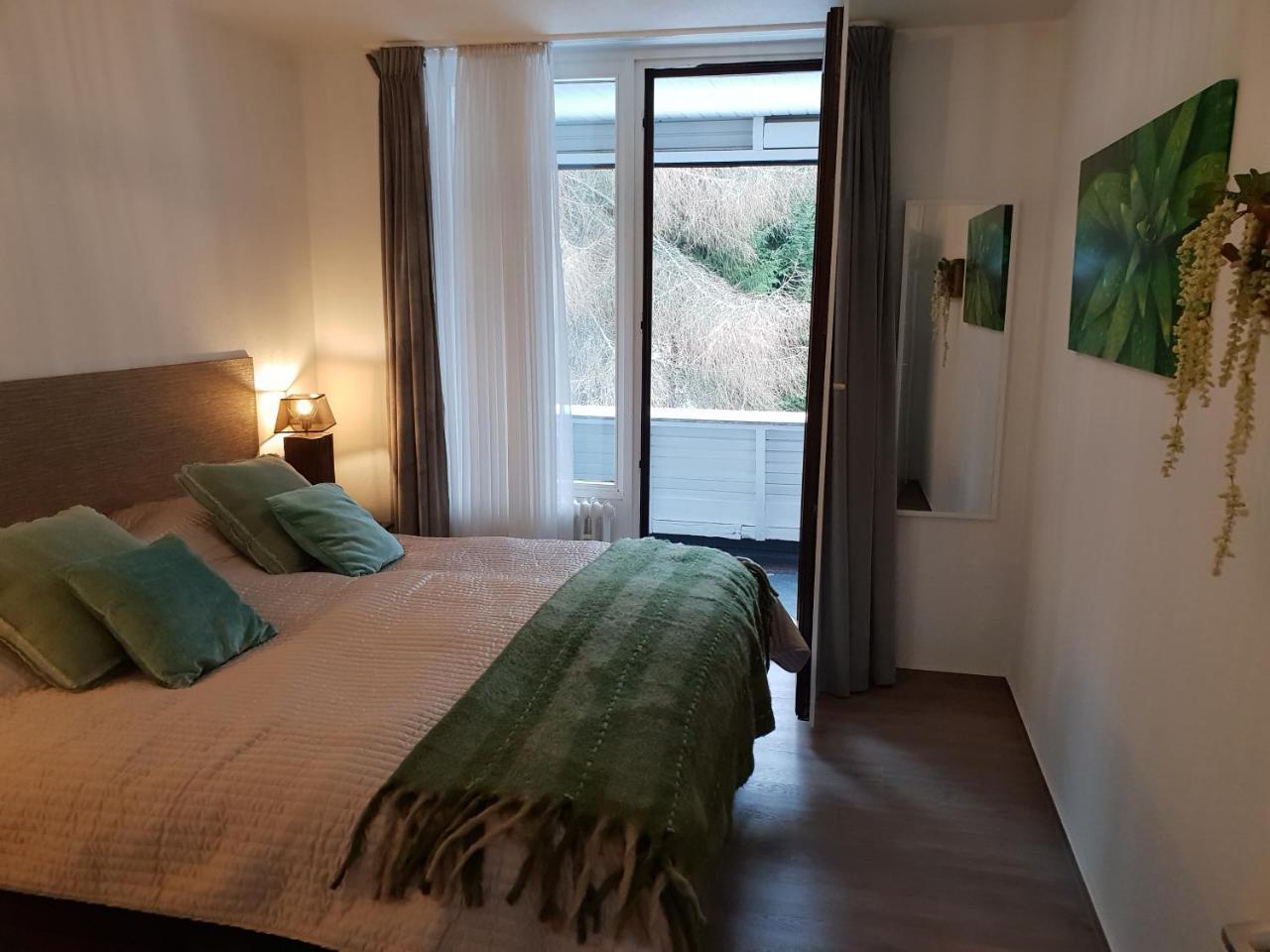 Welcome In - In Der Buere 10-r Apartment Winterberg